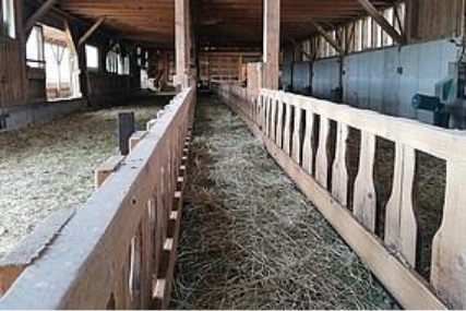 Preview image for the news article about the Wöss farm.
