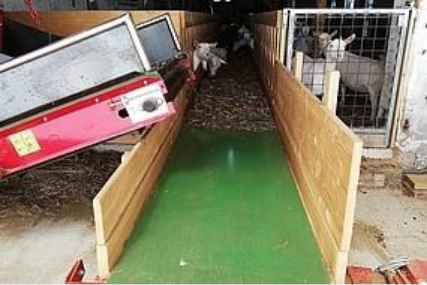 Preview image for the news article about the Hauder farm