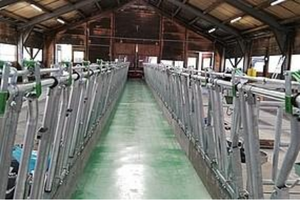 Preview image for the news article on the Steiner company
