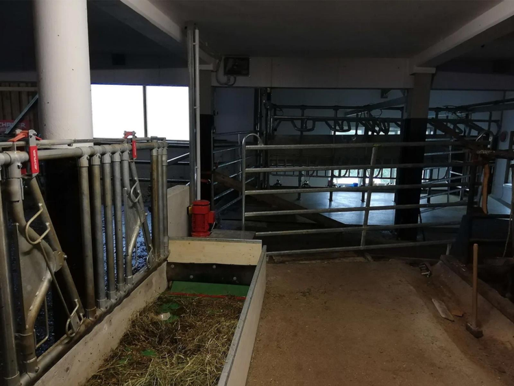 Image of an empty stable with the feedstar winch