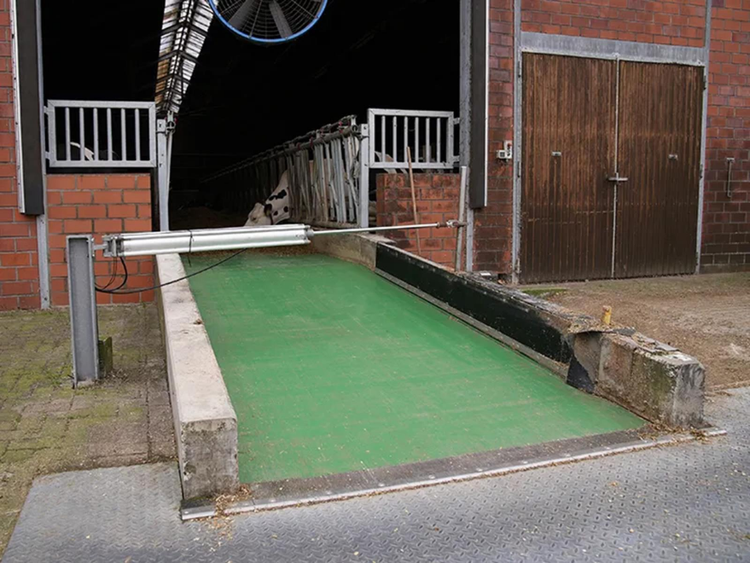 Picture of a stable entrance with feed belt