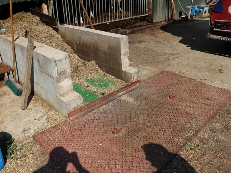 feed belt in the stable with concrete construction