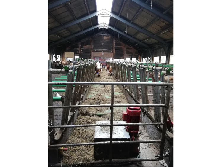 Image of the feedstar feed belt during feeding