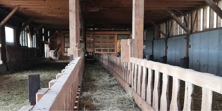 View of the Wöss family's goat shed with built-in Feedstar feeding system