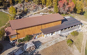 Conveyor system integrated into a mountain livestock barn with limited space
