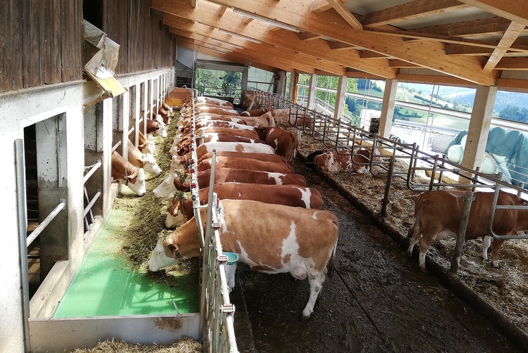 Automatic feeding - Conversion example 8