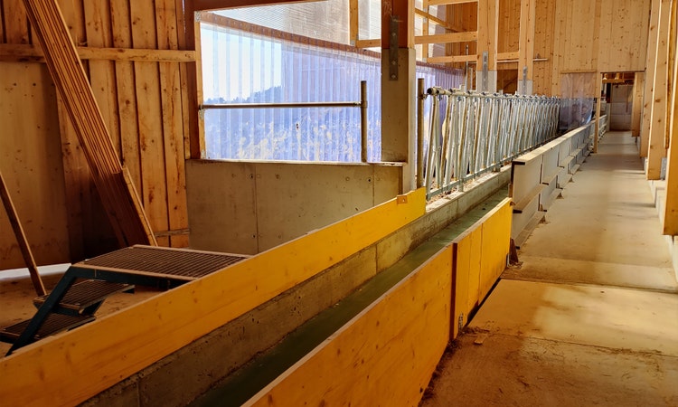 Bild der feedstar Futterband Konstruktion beim Betrieb Erhard