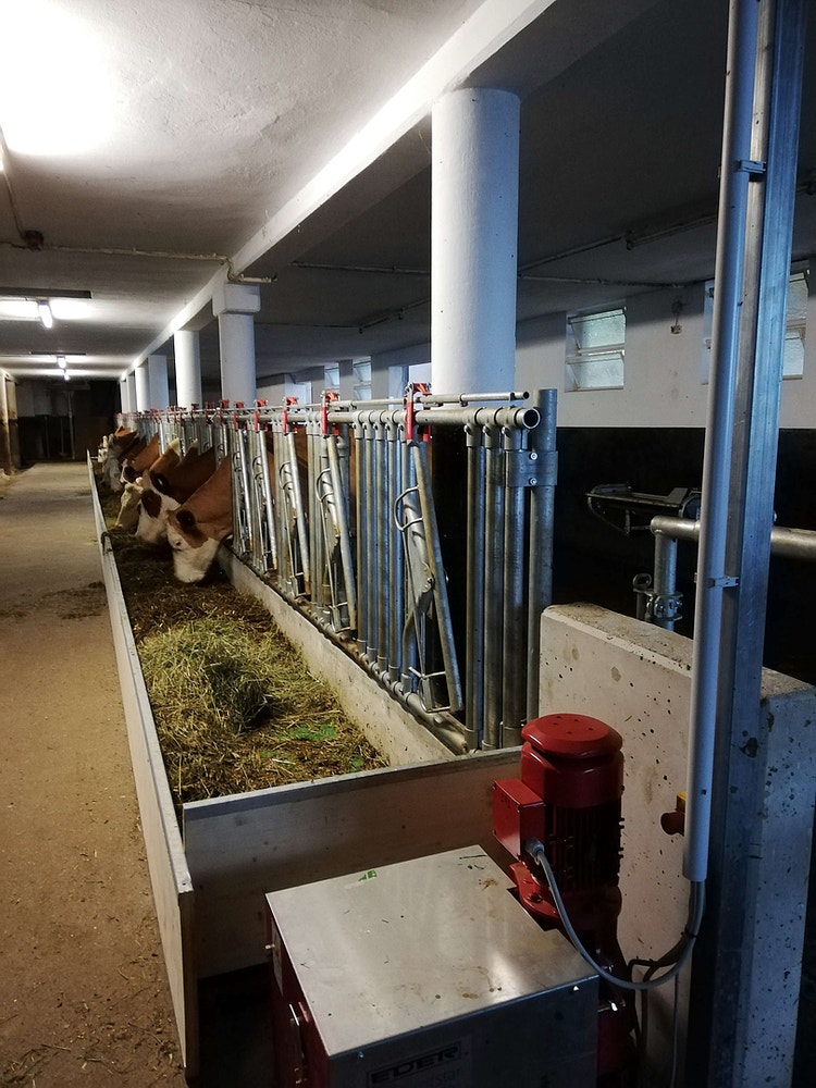 Bild der feedstar Winde in einem Kuhstall