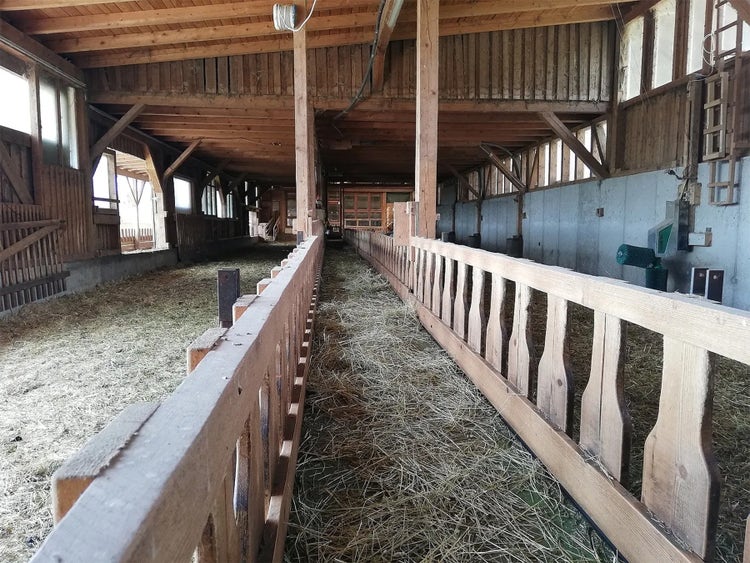 Innenansicht Stall