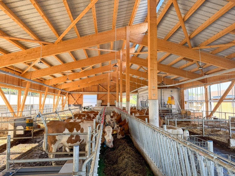 Bild Stallneubau Gillinger mit Blick in den offenen Stall