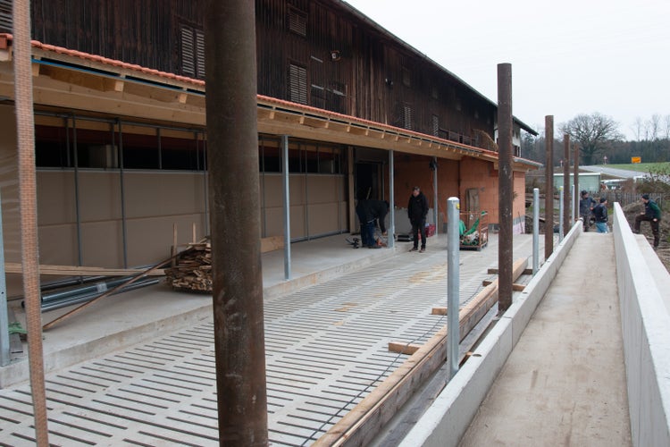 Feedstar Futterband im Aufbau