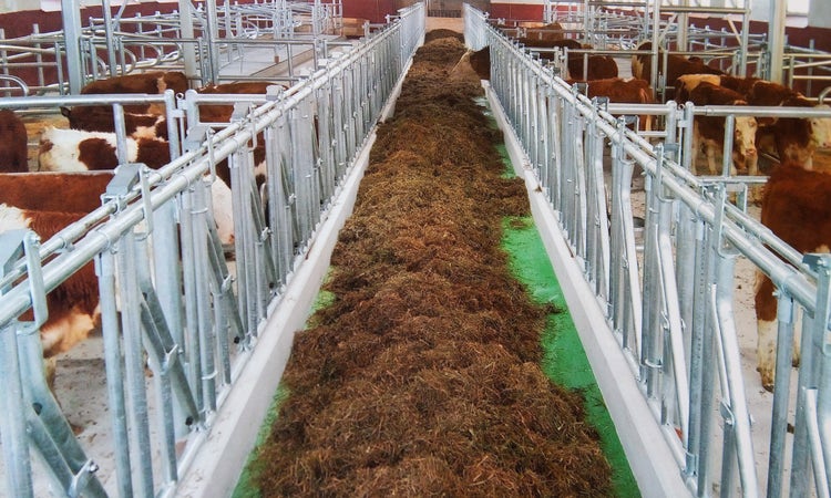 Bild eines befüllten Futterbandes mit Silage