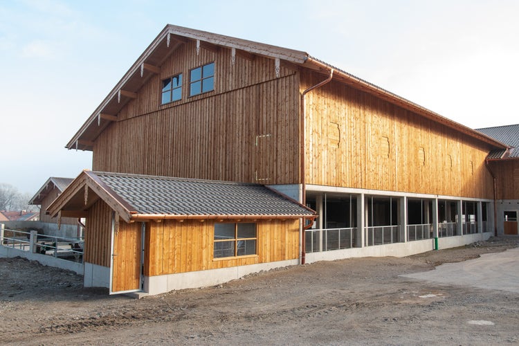 Back of the Leitner stable