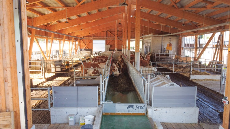 Bild Stallneubau Gillinger mit Blick in den offenen Stall