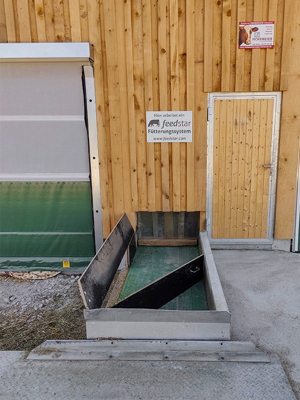 Bild eines Futterbandes, wo das Futter aus dem Stall getragen wird