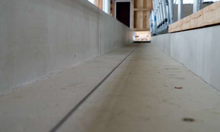 Bild der Betonkonstruktion des feedstar Futterbandes im Betrieb Hermann