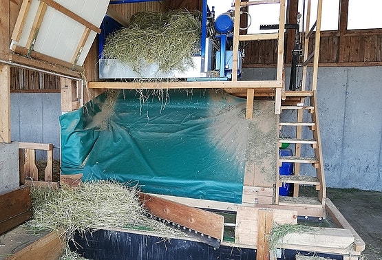 Bild im Ziegensatl