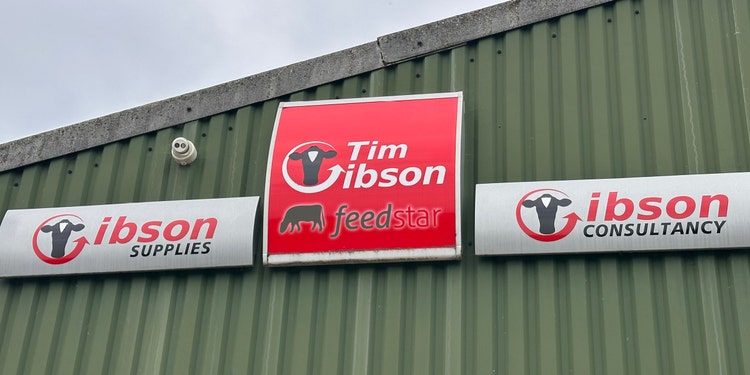 Logos Tim Gibson und Feedstar