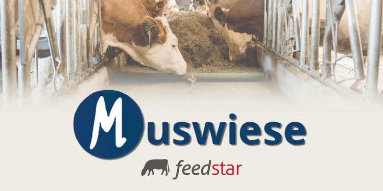 Headerbild der Messe in Muswiese