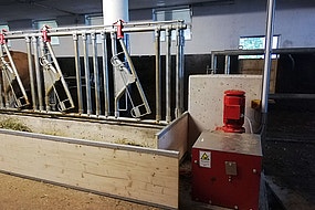 Bild der feedstar Winde im Stall