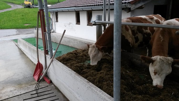 Premier plan de la bande d’alimentation jusqu’à 100 m de long