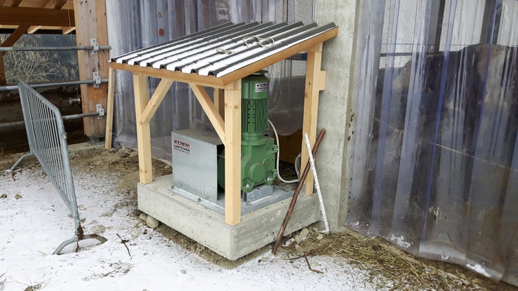 section de tapis vert en PVC robuste, utilisé pour acheminer le fourrage dans l’étable