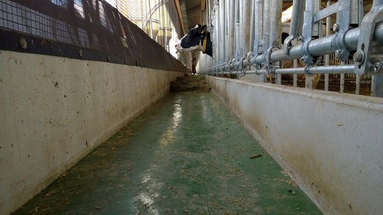 Mangeoire montrant les fibres de verre en coupe transversale