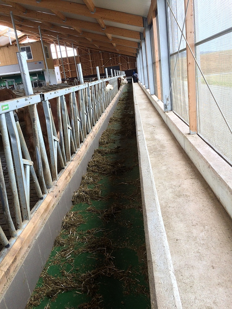 feedstar Futterband leer gefressen