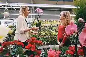 Bild von einer Gärtnerei mit zwei Frauen 