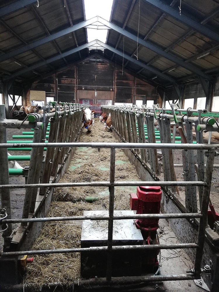Impressionen der feedstar Winde