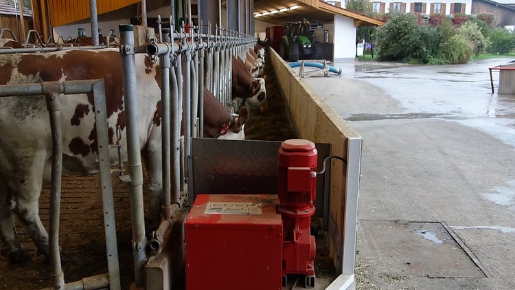 feedstar Winde in einem Stall